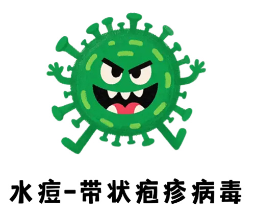 细节介绍